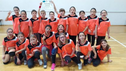 Immagine di Promovolley