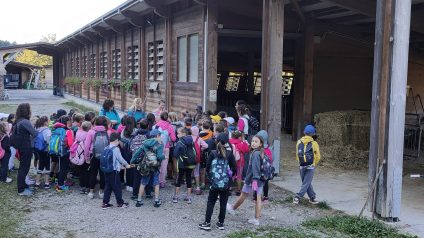 Immagine di Passeggiata dell’accoglienza