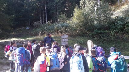 Immagine di Rifugiarsi nel parco