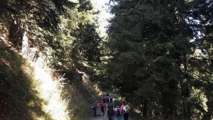 Immagine di Rifugiarsi nel parco