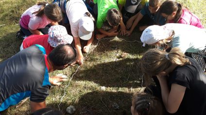Immagine di Rifugiarsi nel parco