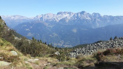 Immagine di Rifugiarsi nel parco