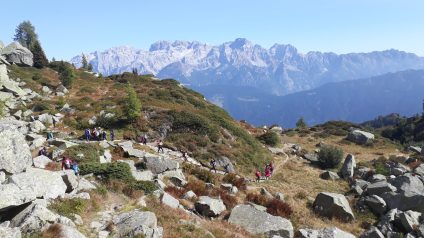 Immagine di Rifugiarsi nel parco
