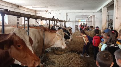 Immagine di Giornata dell’accoglienza a Brione