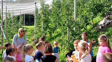 Immagine di Progetto frutteto