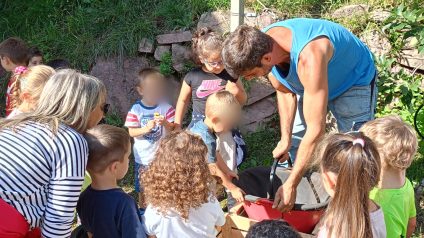 Immagine di Progetto frutteto