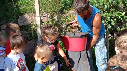 Immagine di Progetto frutteto