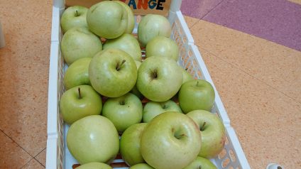 Immagine di Progetto frutteto