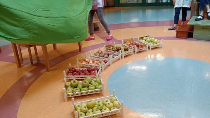 Immagine di Progetto frutteto