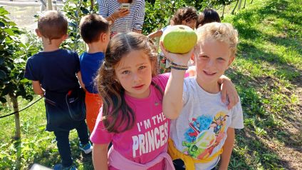 Immagine di Progetto frutteto