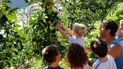 Immagine di Progetto frutteto