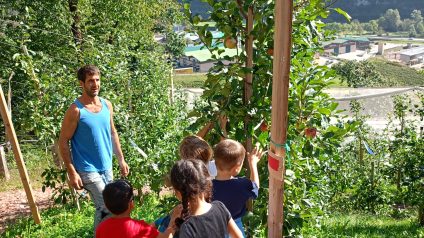 Immagine di Progetto frutteto