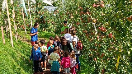 Immagine di Progetto frutteto