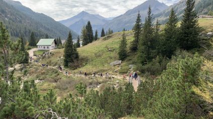 Immagine di “Rifugiarsi nel Parco” presso il Rifugio Val di Fumo