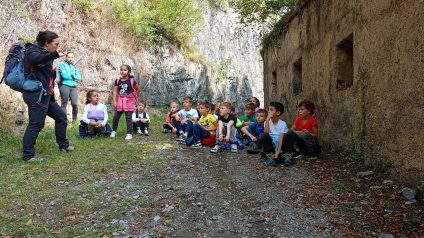 Immagine di Giornata dell’accoglienza – SP Condino