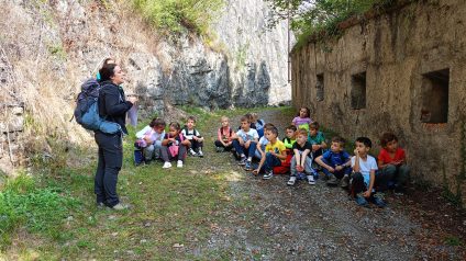 Immagine di Giornata dell’accoglienza – SP Condino