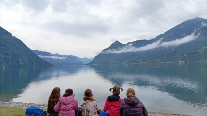 Immagine di La natura ci insegna: “Il mondo delle api”