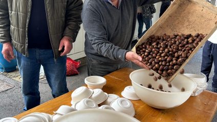 Immagine di Castagnata d’autunno – Sp Storo
