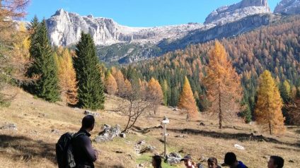 Immagine di Il patrimonio geomorfologico del Parco Adamello Brenta