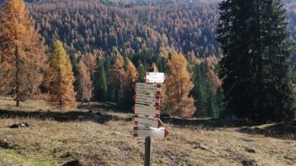 Immagine di Il patrimonio geomorfologico del Parco Adamello Brenta