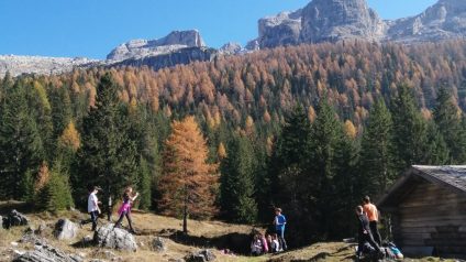 Immagine di Il patrimonio geomorfologico del Parco Adamello Brenta