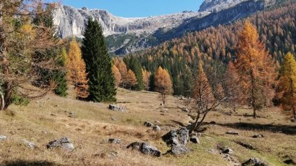 Immagine di Il patrimonio geomorfologico del Parco Adamello Brenta