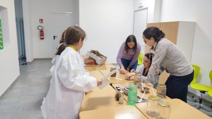 Immagine di Alla scoperta del suolo: il percorso di scienze delle classi quarte