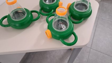 Immagine di Alla scoperta del suolo: il percorso di scienze delle classi quarte