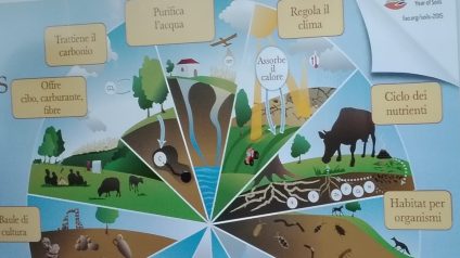 Immagine di L’importanza di sperimentare per imparare