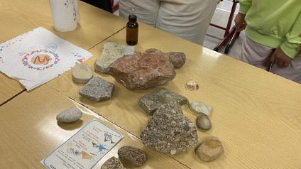 Immagine di Laboratorio della scienza del suolo