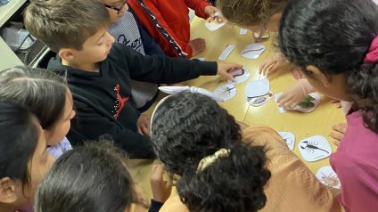 Immagine di Laboratorio della scienza del suolo