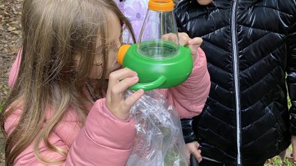 Immagine di Laboratorio della scienza del suolo