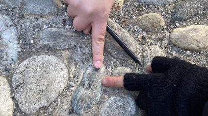 Immagine di Laboratorio della scienza del suolo