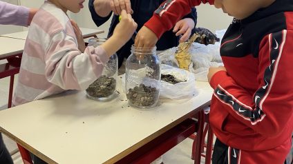 Immagine di Laboratorio della scienza del suolo