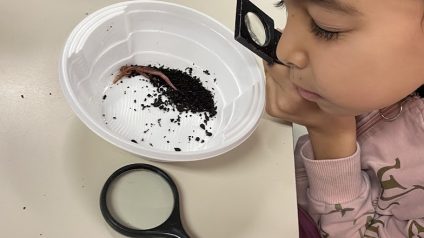 Immagine di Laboratorio della scienza del suolo