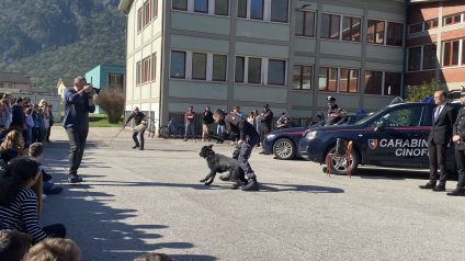 Immagine di Incontro con i reparti speciali dell’Arma dei Carabinieri