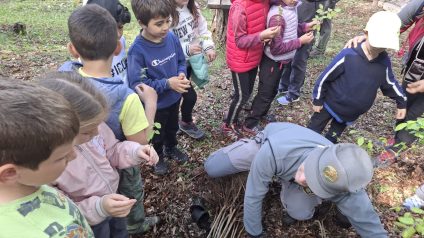 Immagine di Festa degli alberi