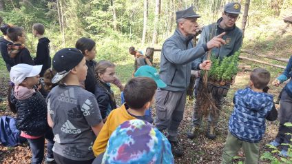 Immagine di Festa degli alberi