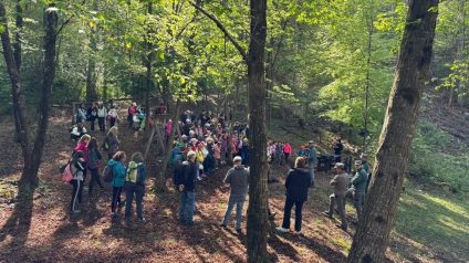 Immagine di Festa degli alberi
