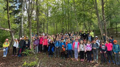 Immagine di Festa degli alberi